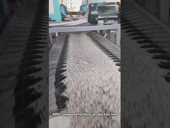 쌍롤 과립 복합 비료 생산 라인