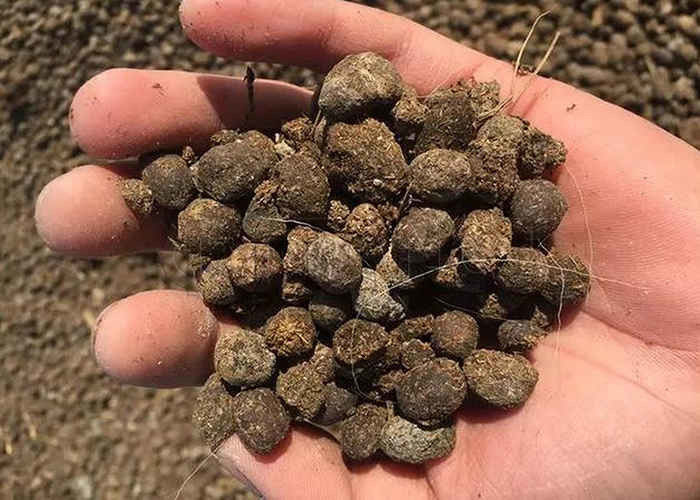 비료 잔류 및 풀브산과 같은 유기 물질을 잔류하는 비료 분자