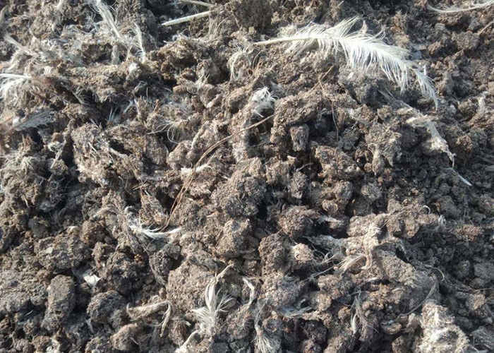 유기농 비료 발효 콤포스트 기계 크롤러 유형